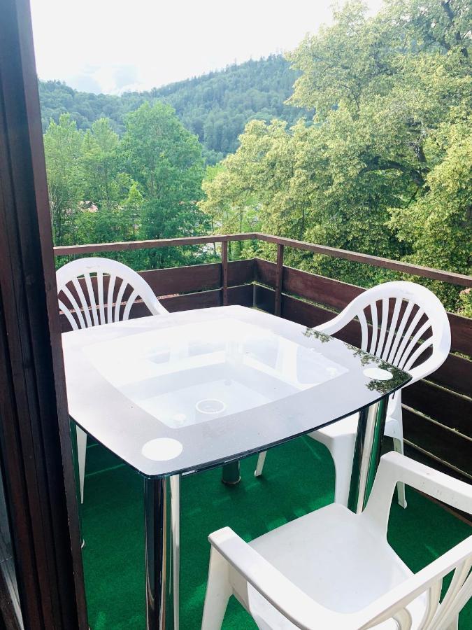 Villa Goncalves, Komplette Wohnung Mit Parkplatz Und Wallbox Vor Der Tuer Calw Exterior foto