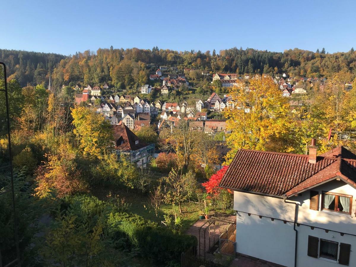 Villa Goncalves, Komplette Wohnung Mit Parkplatz Und Wallbox Vor Der Tuer Calw Exterior foto